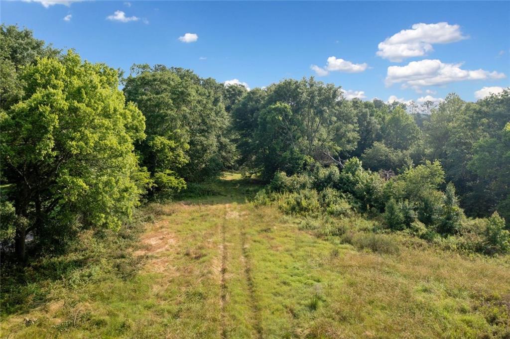 643 North Rope Mill Road Woodstock, GA 30188 - Photo 6 of 7 a view of a yard
