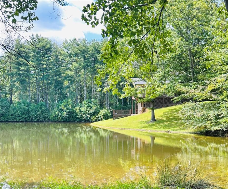 292 High Country Crossing Morganton, GA 30560 - Photo 32 of 35 a swimming pool with some trees in the background