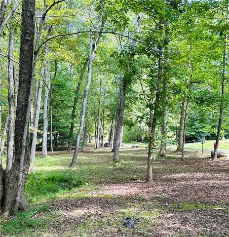 a view of a yard with a tree