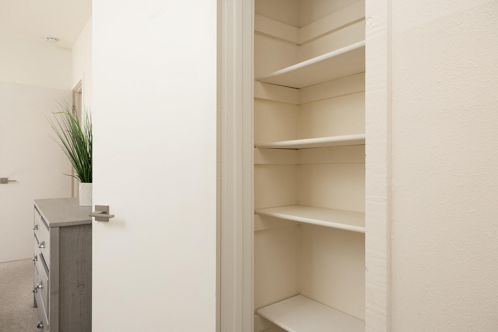 291 2nd Avenue, Unit 1 (TOP) Ketchum, ID 83340 - Photo 15 of 17 Closet