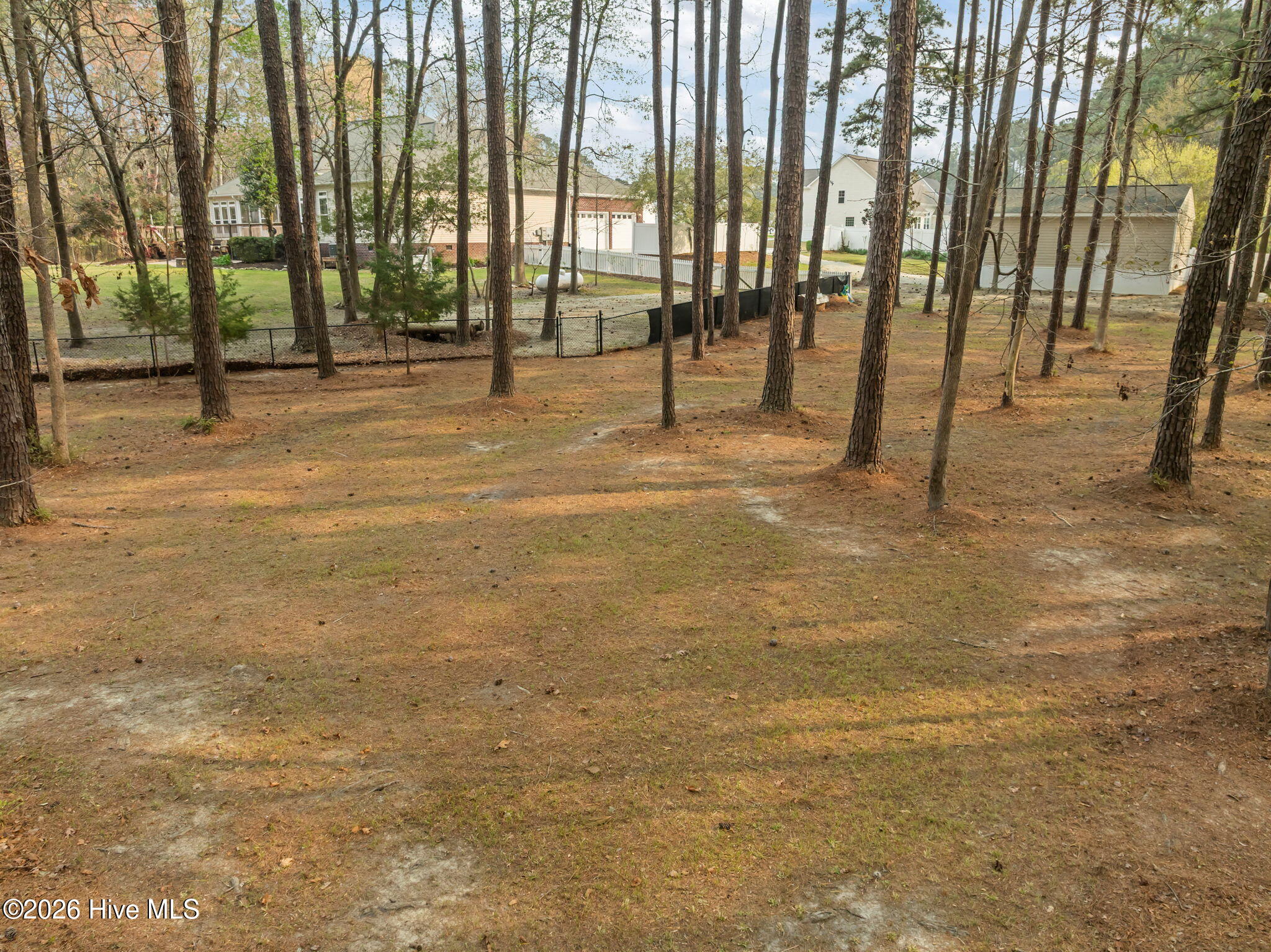 101 Forest Ridge Trail Stella, NC 28582 - Photo 62 of 65 23-web-or-mls-23