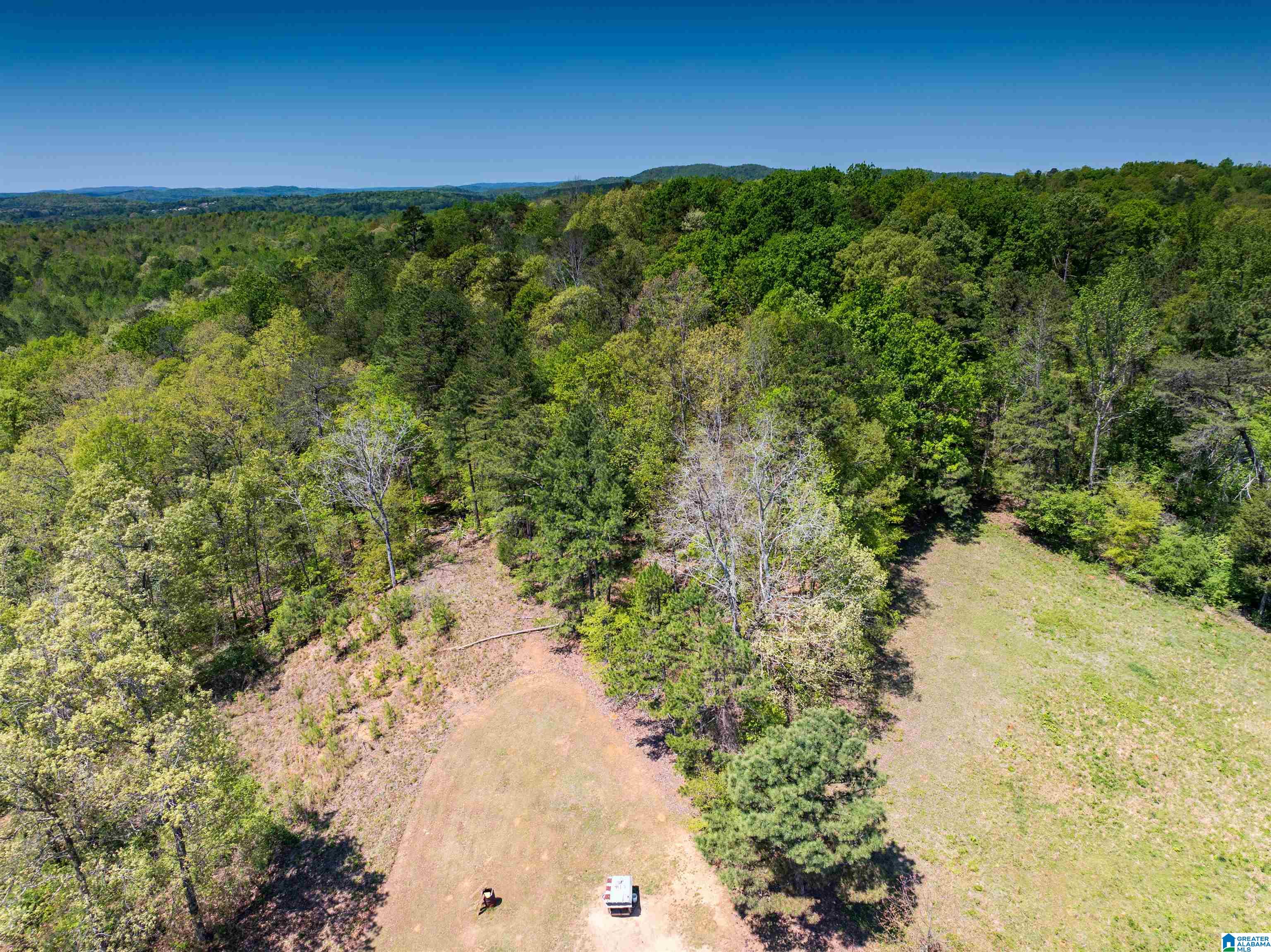 0 Pike Hill Road Ashville, AL 35953 - Photo 19 of 22