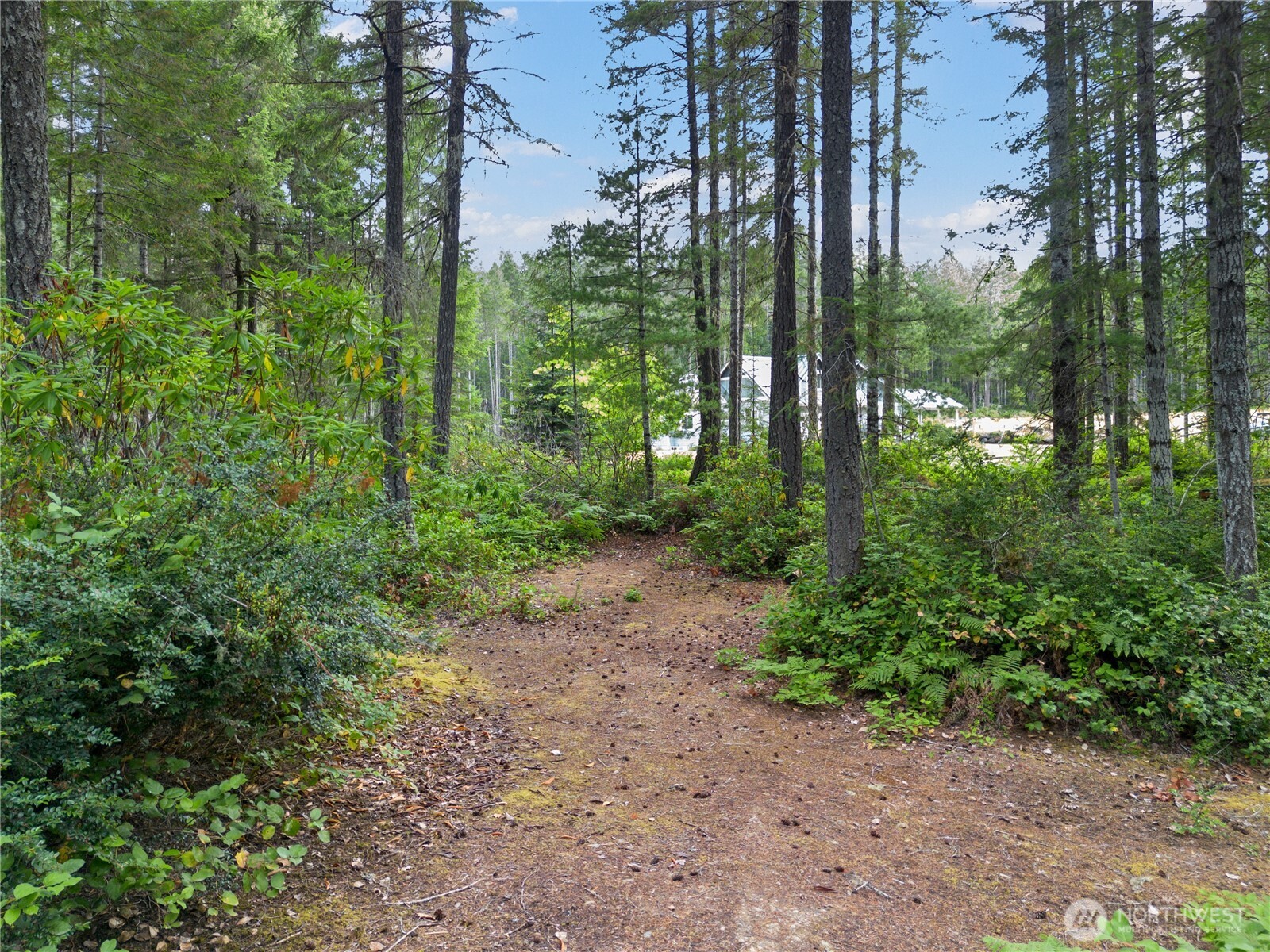 190 Northeast Pine Camp Road Belfair, WA 98528 - Photo 1 of 27 Gallery Image 1