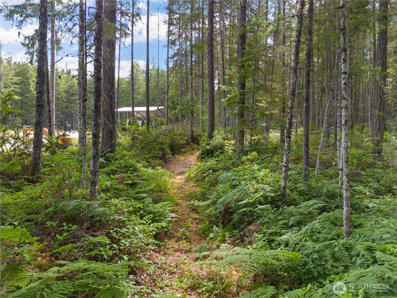 190 Northeast Pine Camp Road Belfair, WA 98528 - Photo 12 of 27 Gallery Image 12
