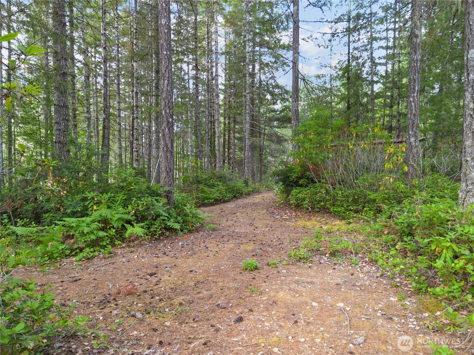 190 Northeast Pine Camp Road Belfair, WA 98528 - Photo 24 of 27 Gallery Image 24