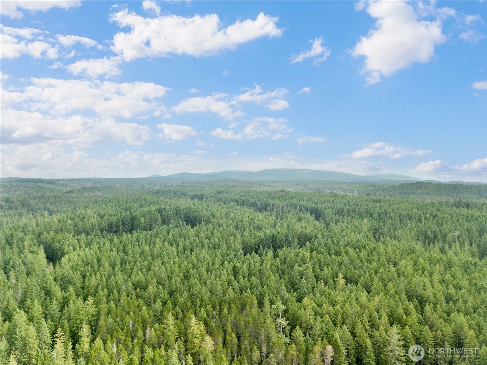 190 Northeast Pine Camp Road Belfair, WA 98528 - Photo 8 of 27 Gallery Image 8
