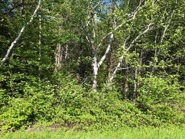 1 Dudley & Mcdonald Roads Mapleton, ME 04757 - Photo 34 of 68 IMG_0313