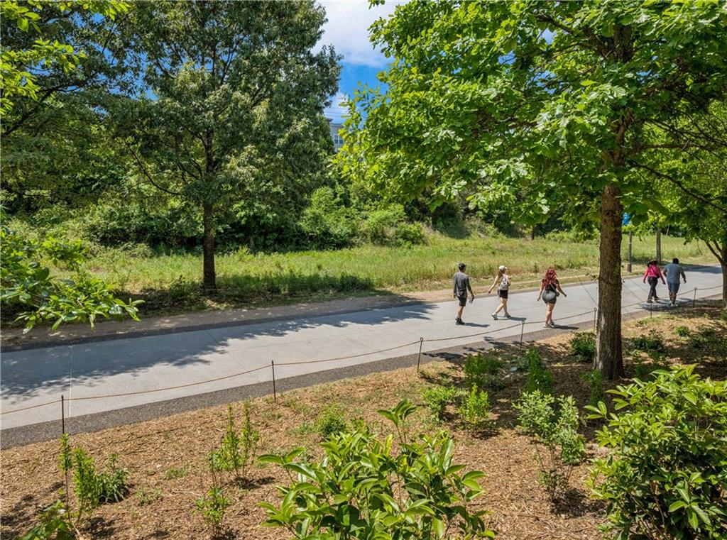 821 Ralph McGill Boulevard Northeast, Unit 2113 Atlanta, GA 30306 - Photo 29 of 29 a view of a park with large trees