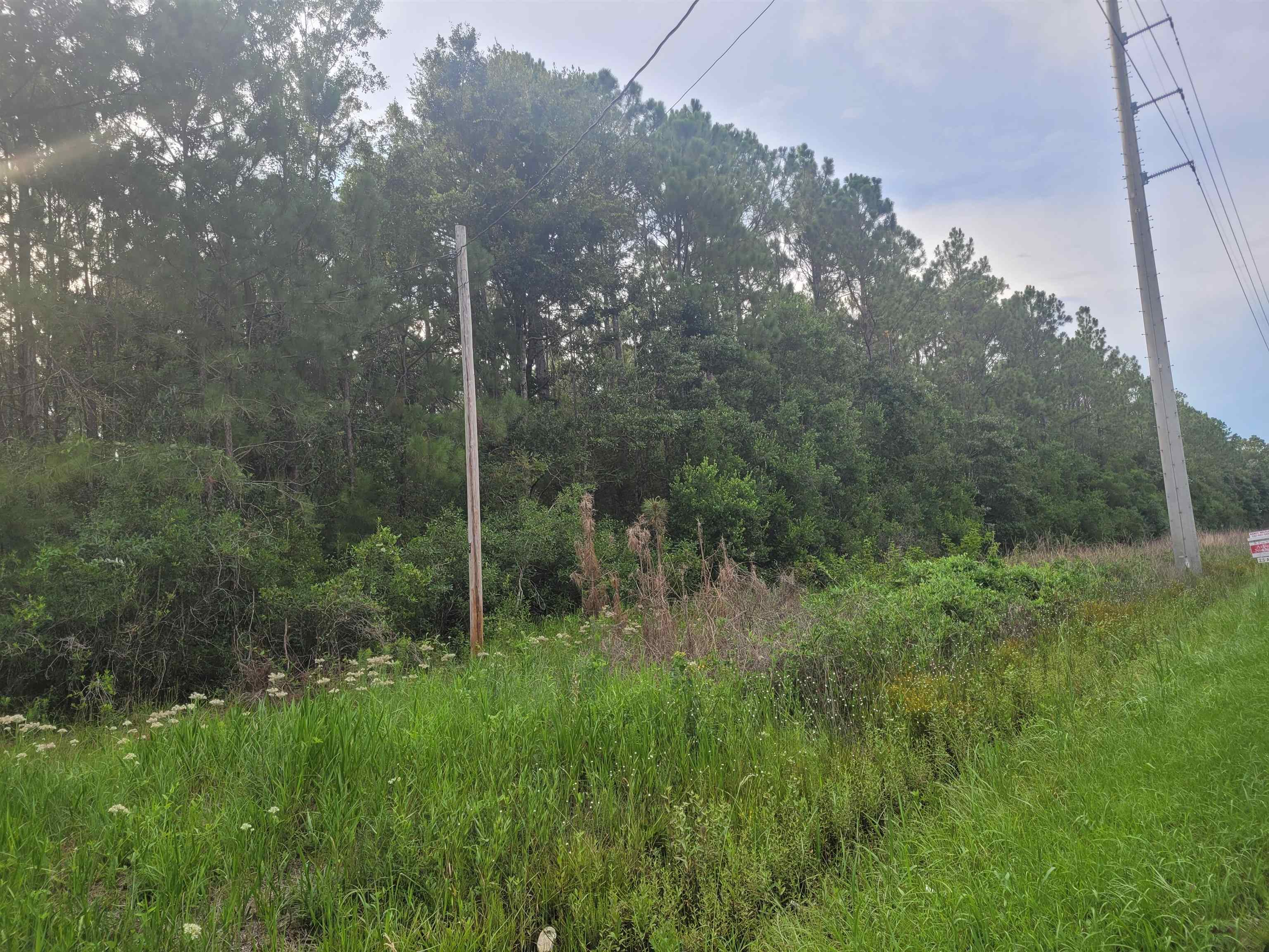 11675 Mary Ann Bch Road Fairhope, AL 36532 - Photo 8 of 8