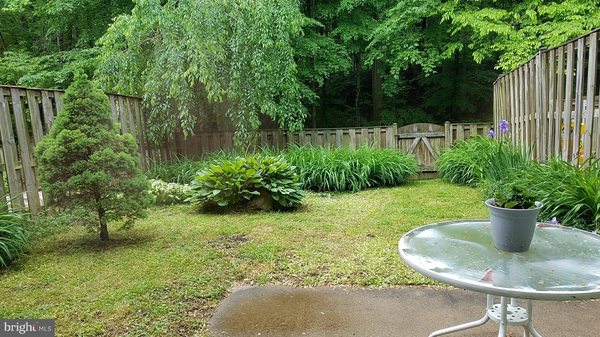 5525 Miles Court Springfield, VA 22151 - Photo 21 of 28 Fenced Backyard, Patio & View of Parkland