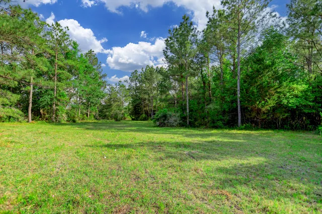a view of a grassy field with trees