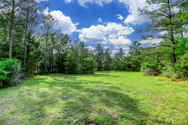 a view of a big yard with lots of green space