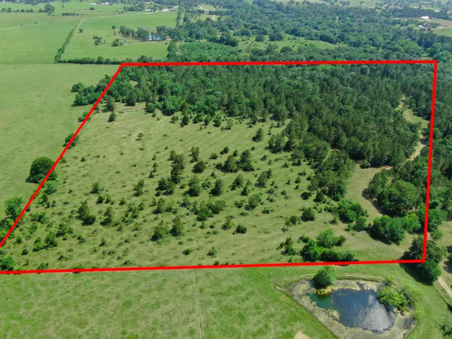 a view of a large garden