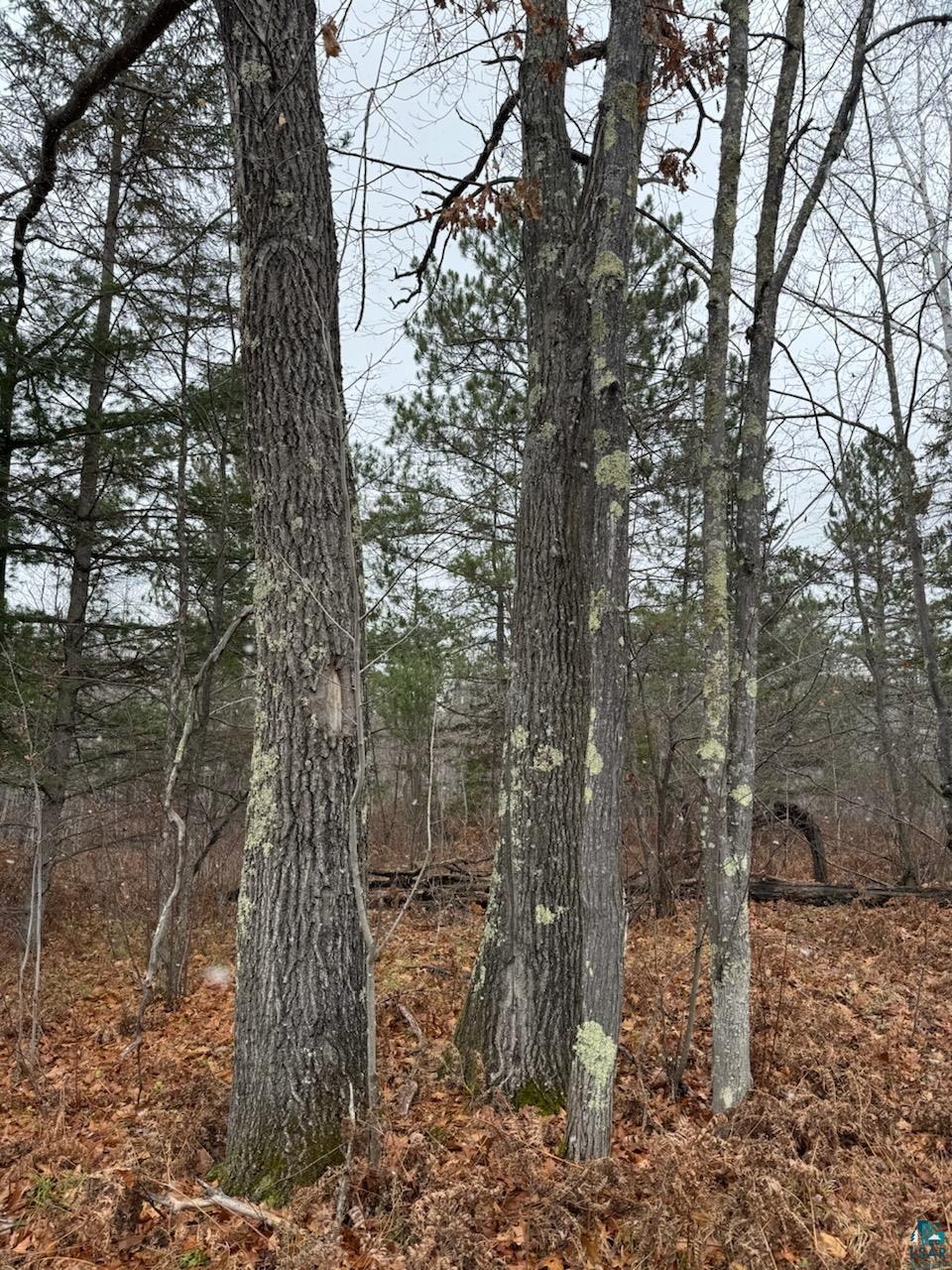 68-xx Hollander Road Iron River, WI 54847 - Photo 1 of 4 Gallery Image 1