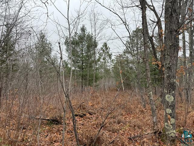 68-xx Hollander Road Iron River, WI 54847 - Photo 3 of 4 Gallery Image 3