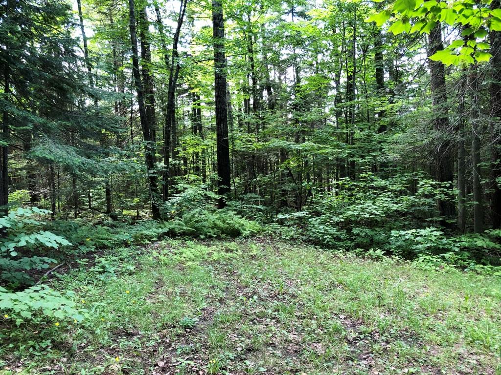 6 Oak Ridge Road Shirley Mills, ME 04485 - Photo 16 of 20 IMG_0611