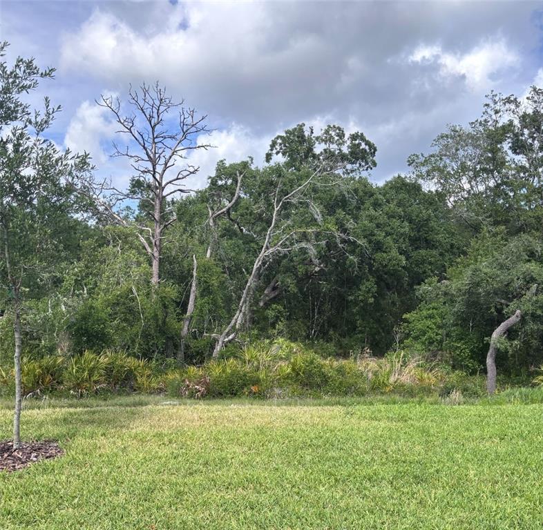 13652 Cyn Rdg Road Spring Hill, FL 34610 - Photo 20 of 35