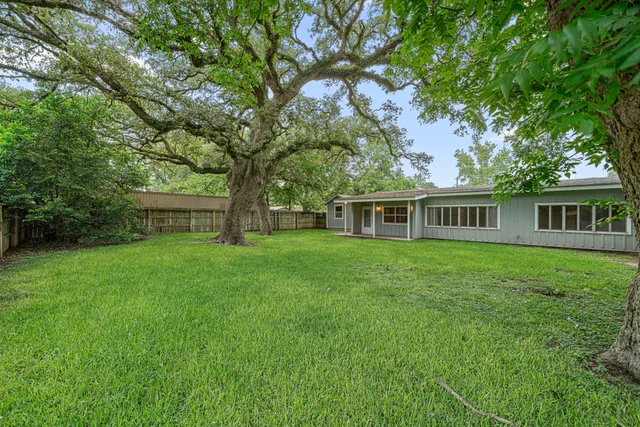 a view of a garden with a tree