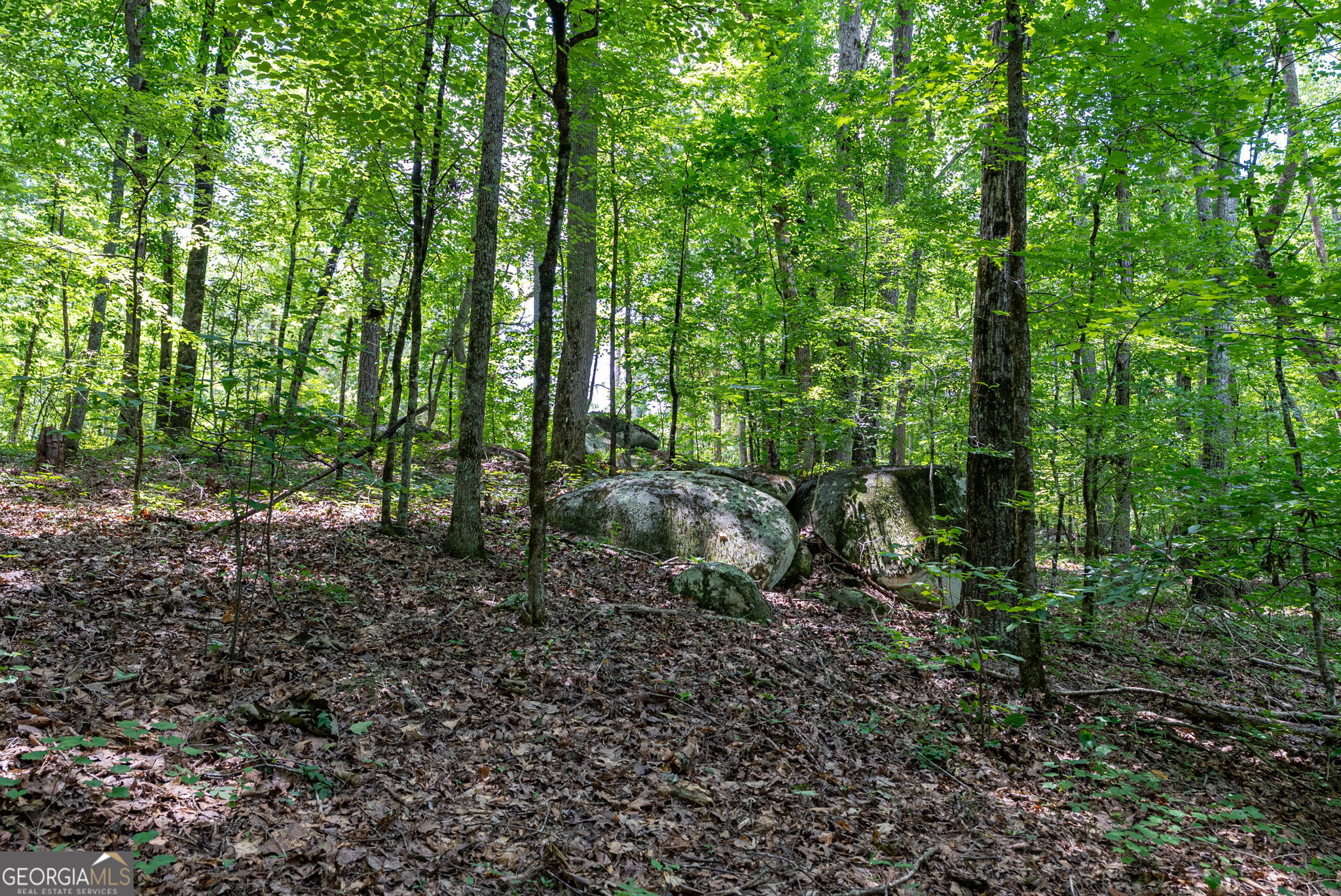 557 Faust Farm Road Crawford, GA 30630 - Photo 11 of 22