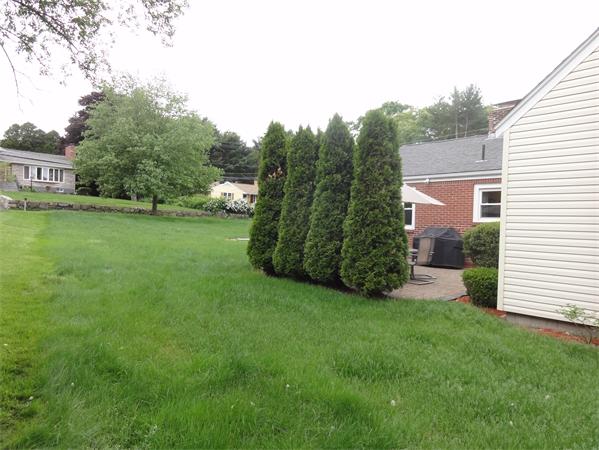 156 Pleasant Street Lexington, MA 02421 - Photo 27 of 28 a view of a house with a yard