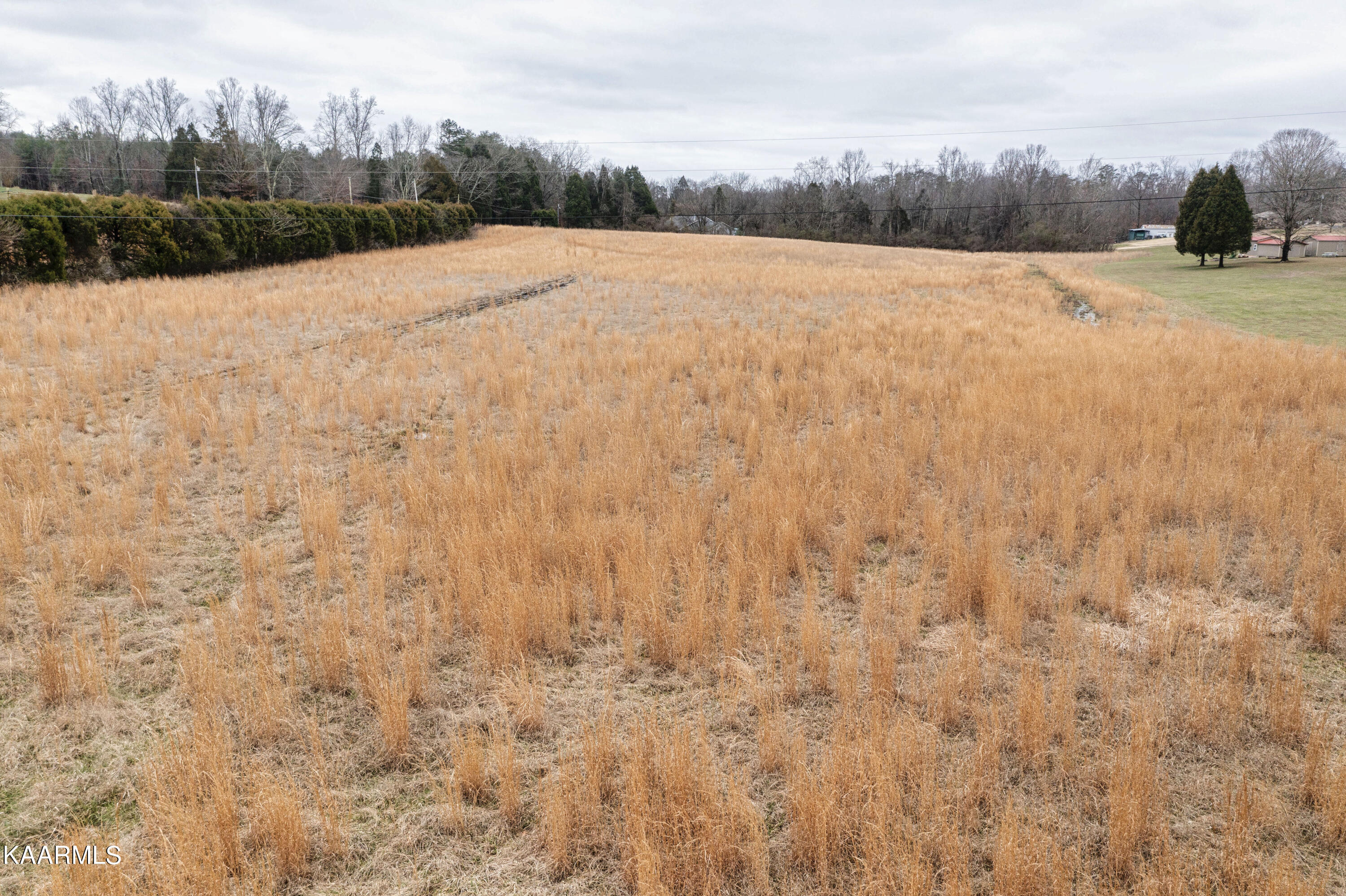 5.60-ac Ruth Road Spring City, TN 37381 - Photo 2 of 21 02