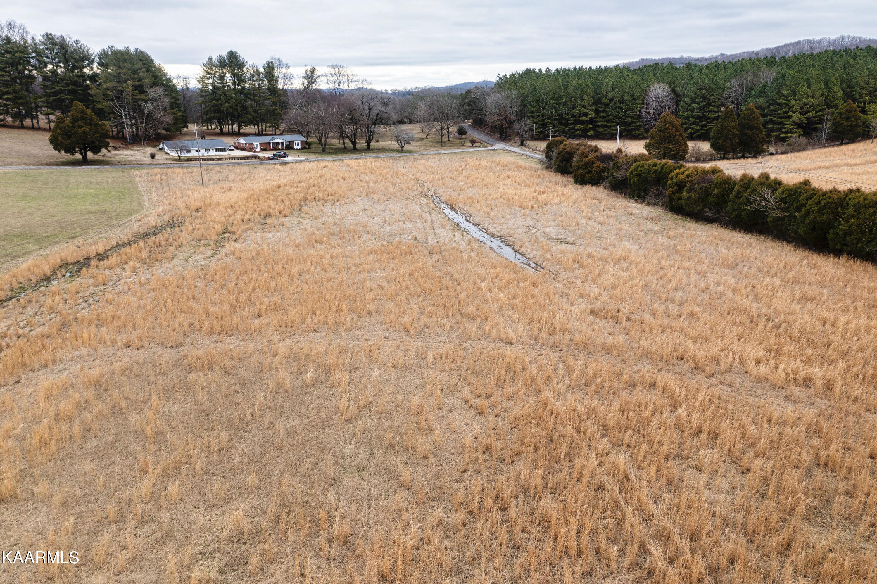 5.60-ac Ruth Road Spring City, TN 37381 - Photo 3 of 21 03
