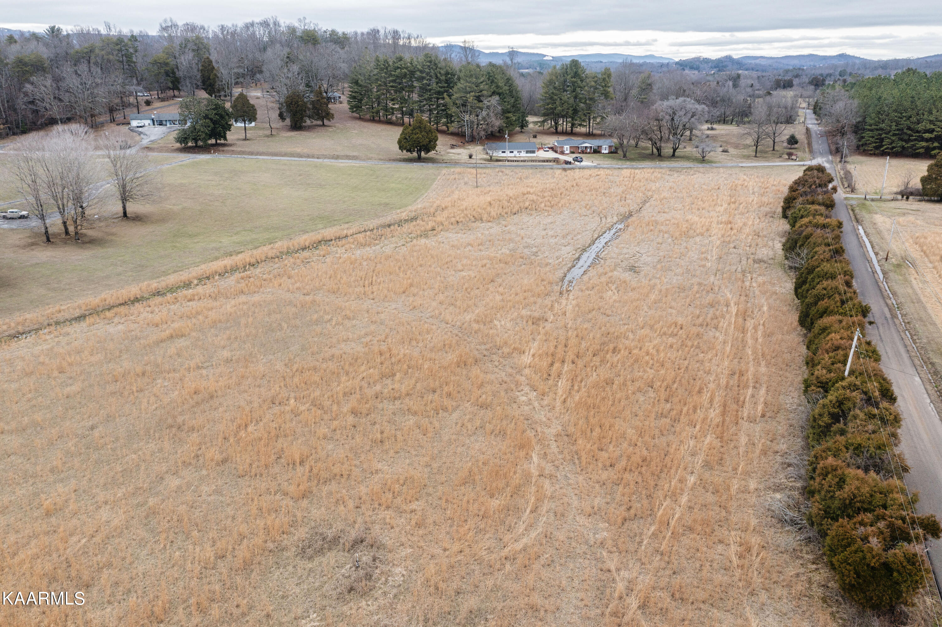 5.60-ac Ruth Road Spring City, TN 37381 - Photo 4 of 21 04