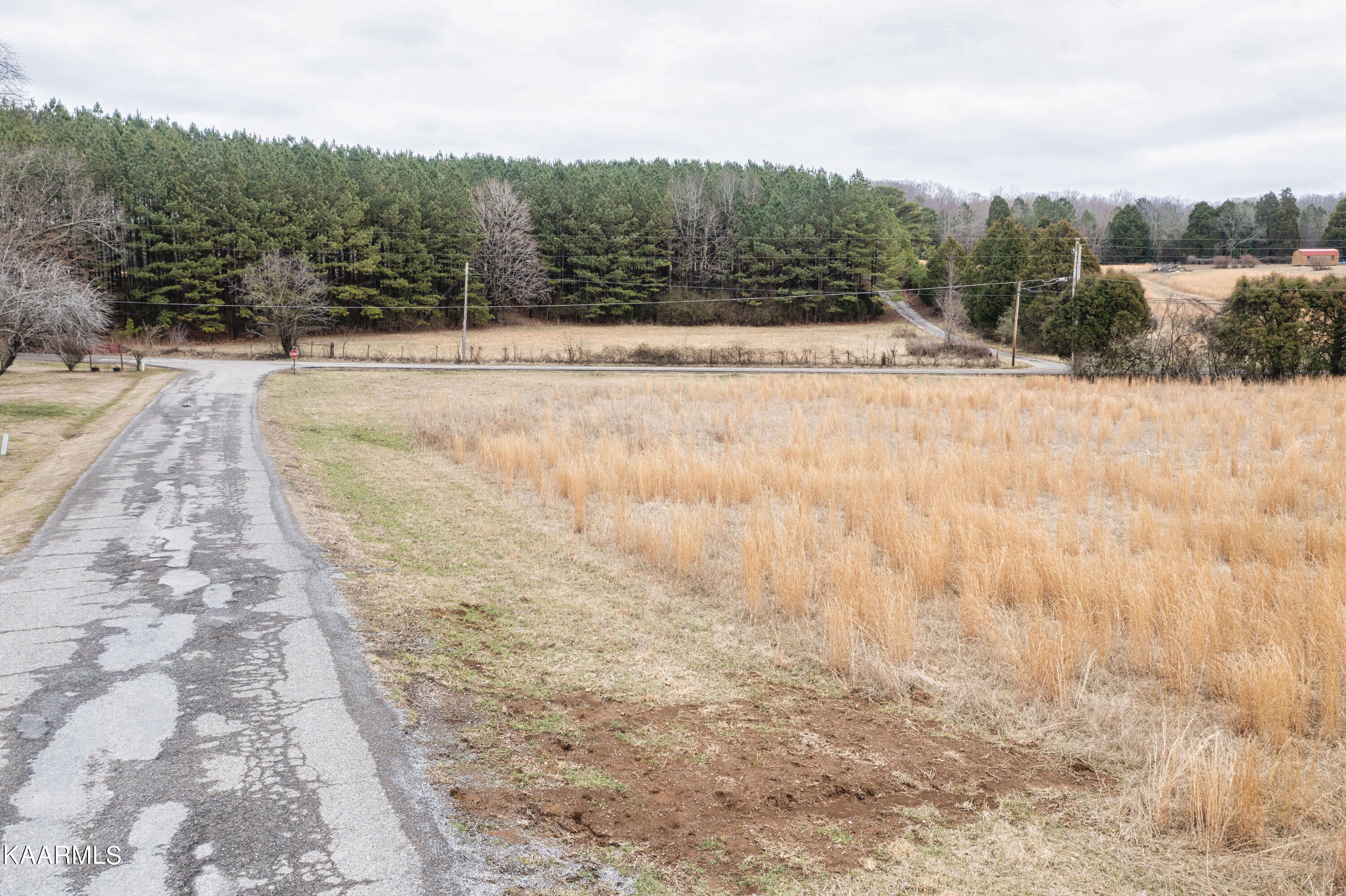 5.60-ac Ruth Road Spring City, TN 37381 - Photo 6 of 21 06