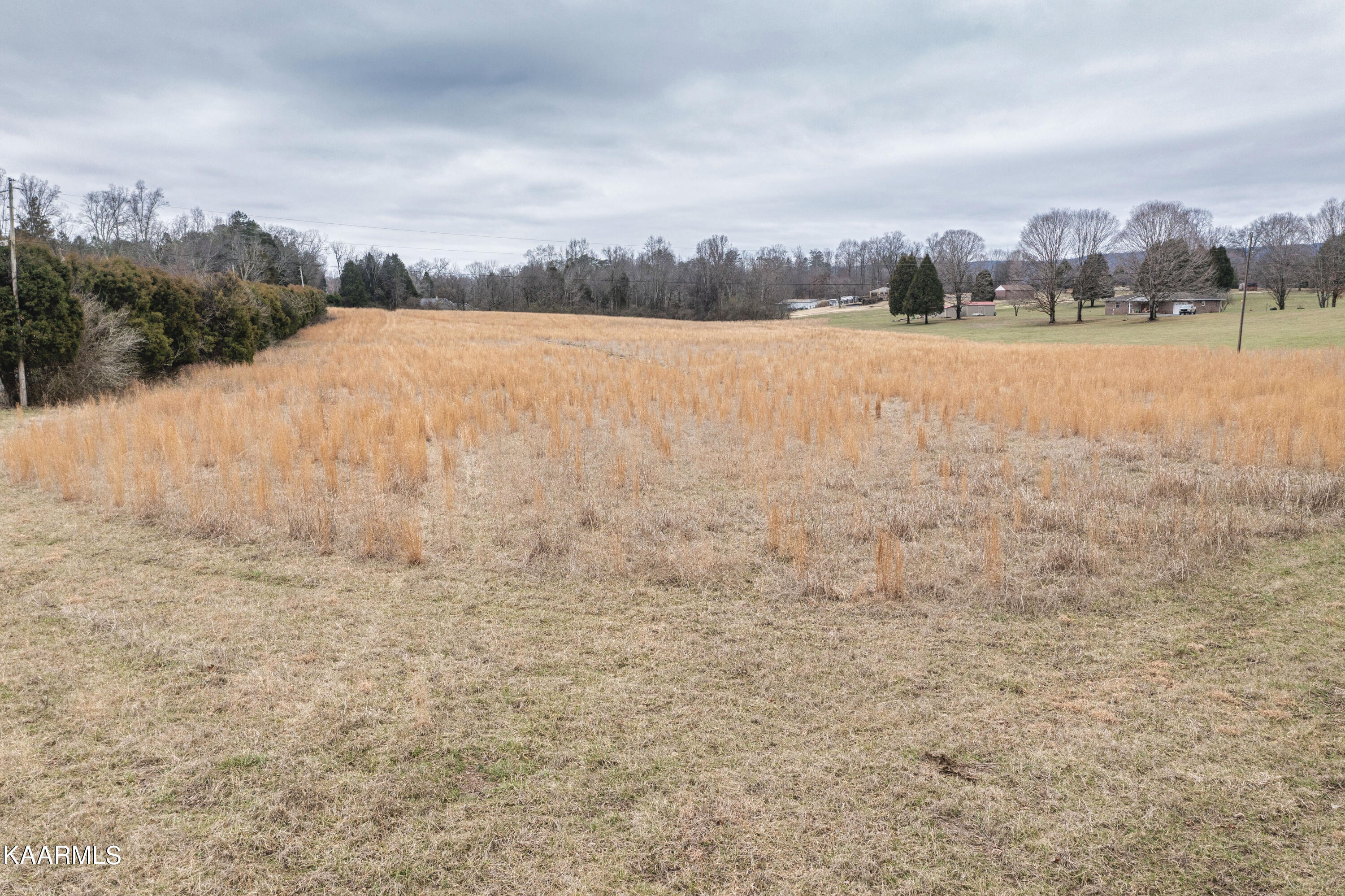 5.60-ac Ruth Road Spring City, TN 37381 - Photo 8 of 21 08