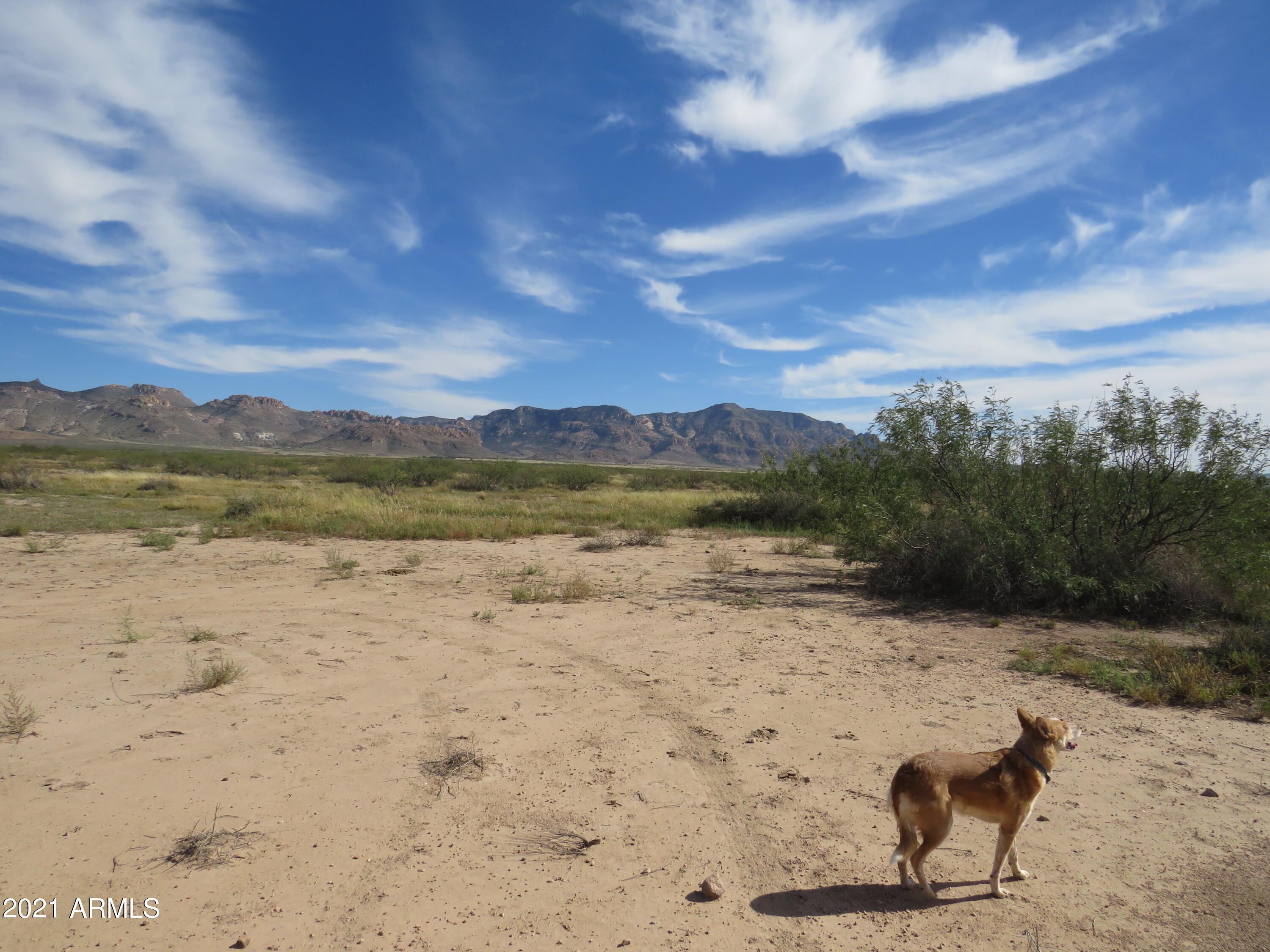 3 Triangle Ranches San Simon, AZ 85632 - Photo 1 of 16 IMG_1686