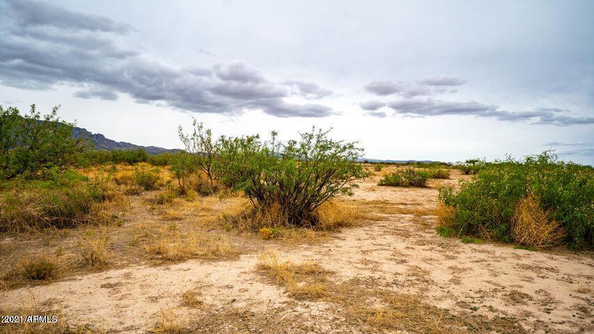 3 Triangle Ranches San Simon, AZ 85632 - Photo 11 of 16 Portal 19