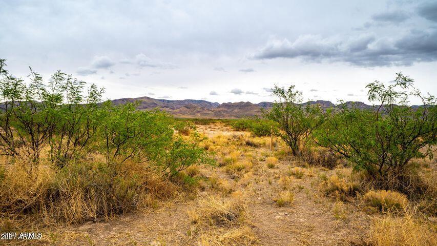 3 Triangle Ranches San Simon, AZ 85632 - Photo 12 of 16 Portal 20