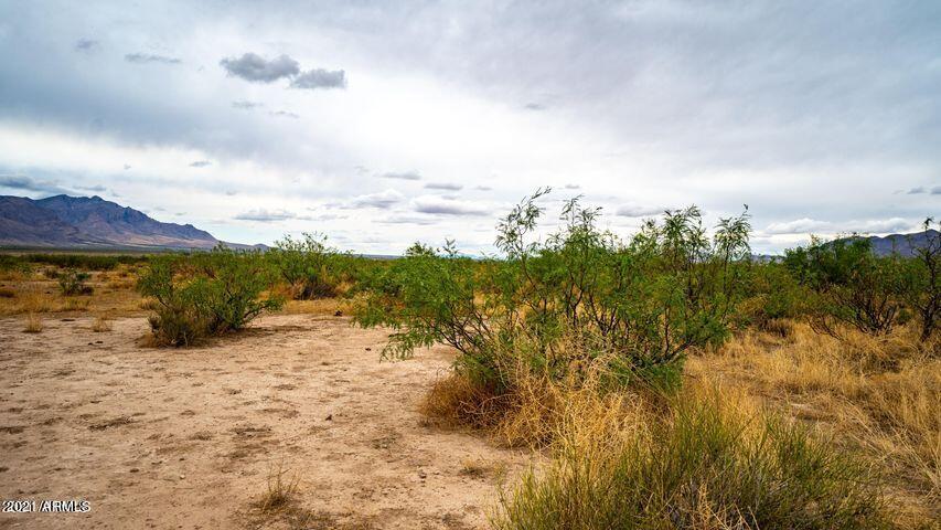3 Triangle Ranches San Simon, AZ 85632 - Photo 13 of 16 Portal 21