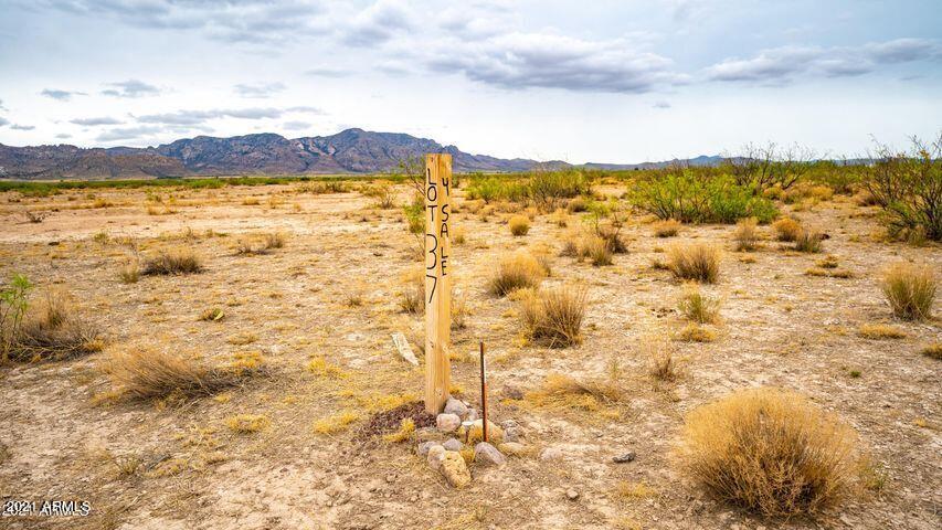 3 Triangle Ranches San Simon, AZ 85632 - Photo 16 of 16 Portal 29