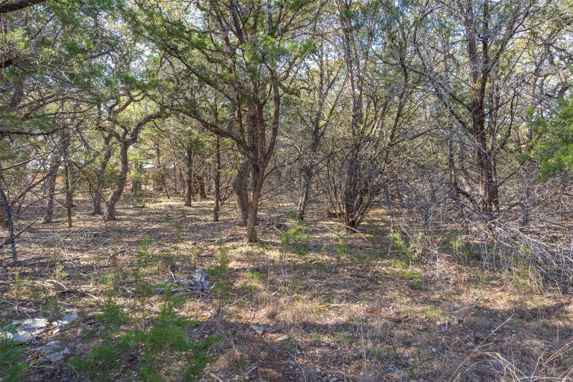 308 Ridge Oak Drive Wimberley, TX 78676 - Photo 11 of 29 The interior of the lot has a mix of Oak and Juniper trees.