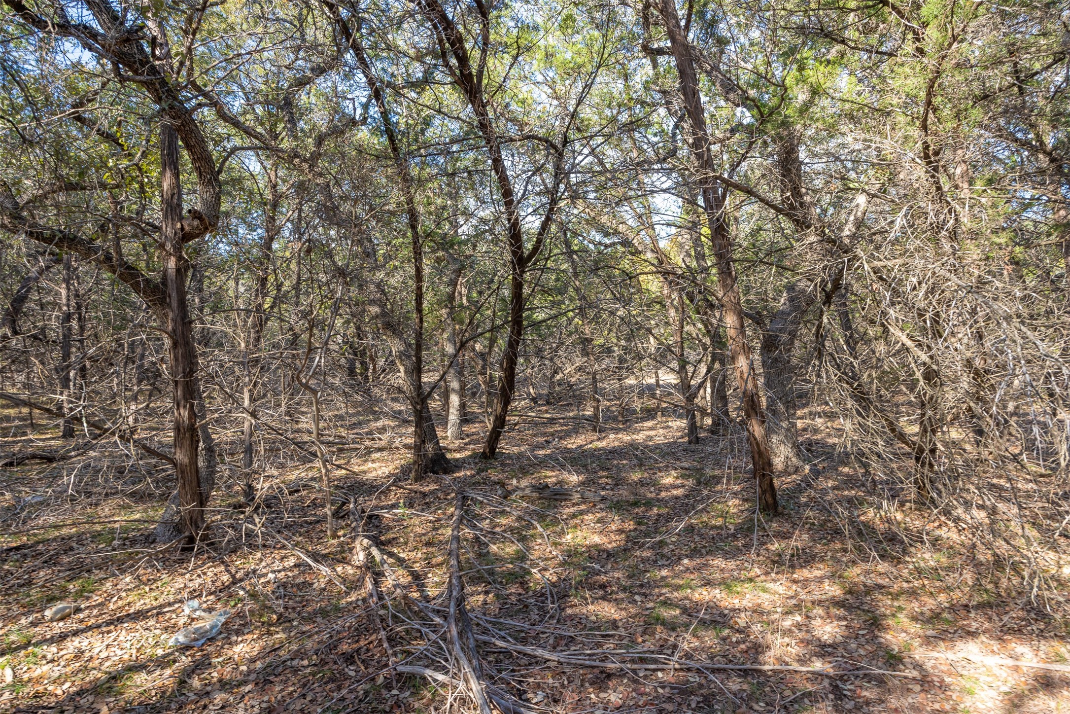 308 Ridge Oak Drive Wimberley, TX 78676 - Photo 16 of 29 a backyard of a house with lots of trees