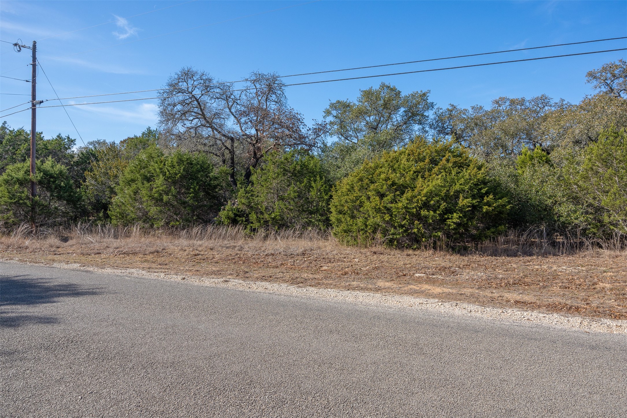 308 Ridge Oak Drive Wimberley, TX 78676 - Photo 2 of 29 a view of a yard with a tree