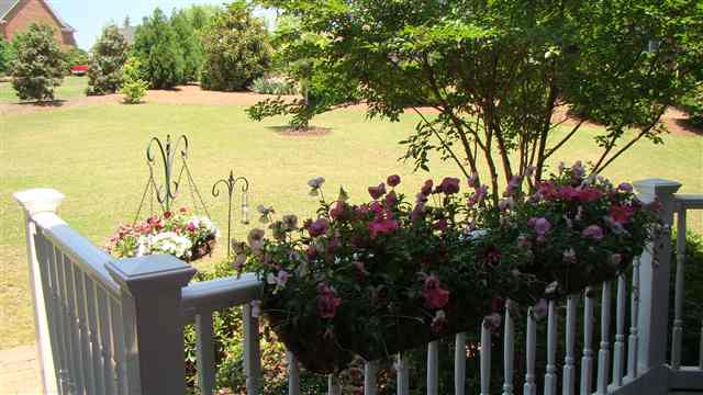 222 Providence Way Easley, SC 29642 - Photo 17 of 25 Gallery Image 17