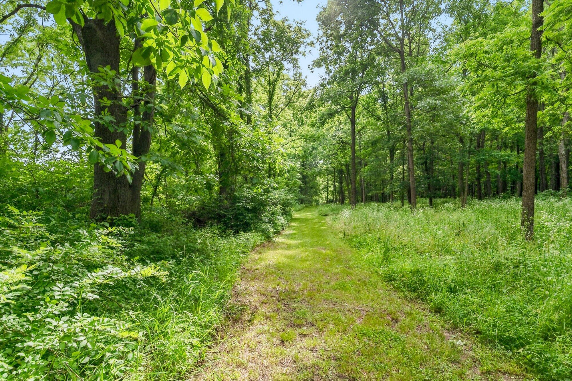 5205 F Drive South East Leroy, MI 49051 - Photo 58 of 69 58-WM5205fdrs-63