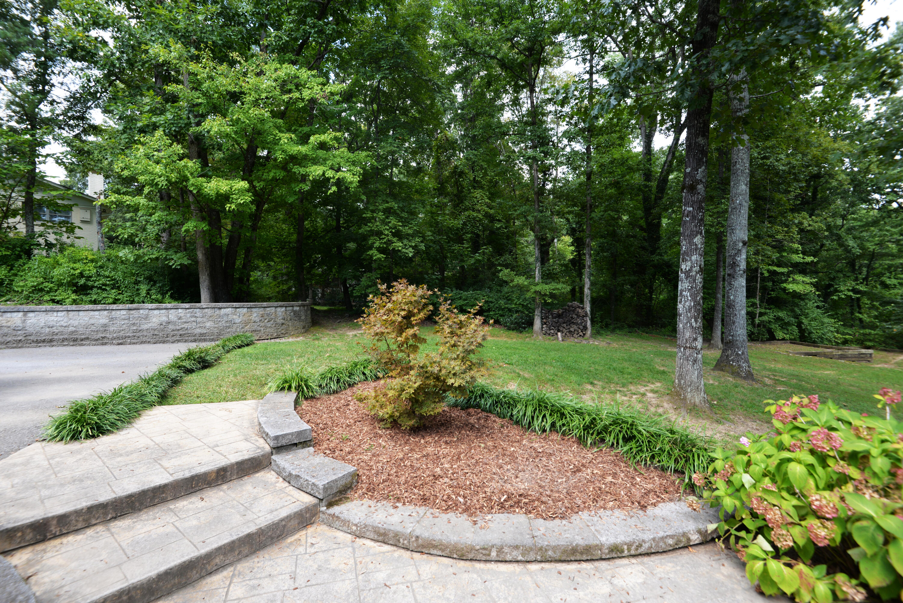 509 Barrington Road Signal Mountain, TN 37377 - Photo 37 of 41 Patio steps to driveway