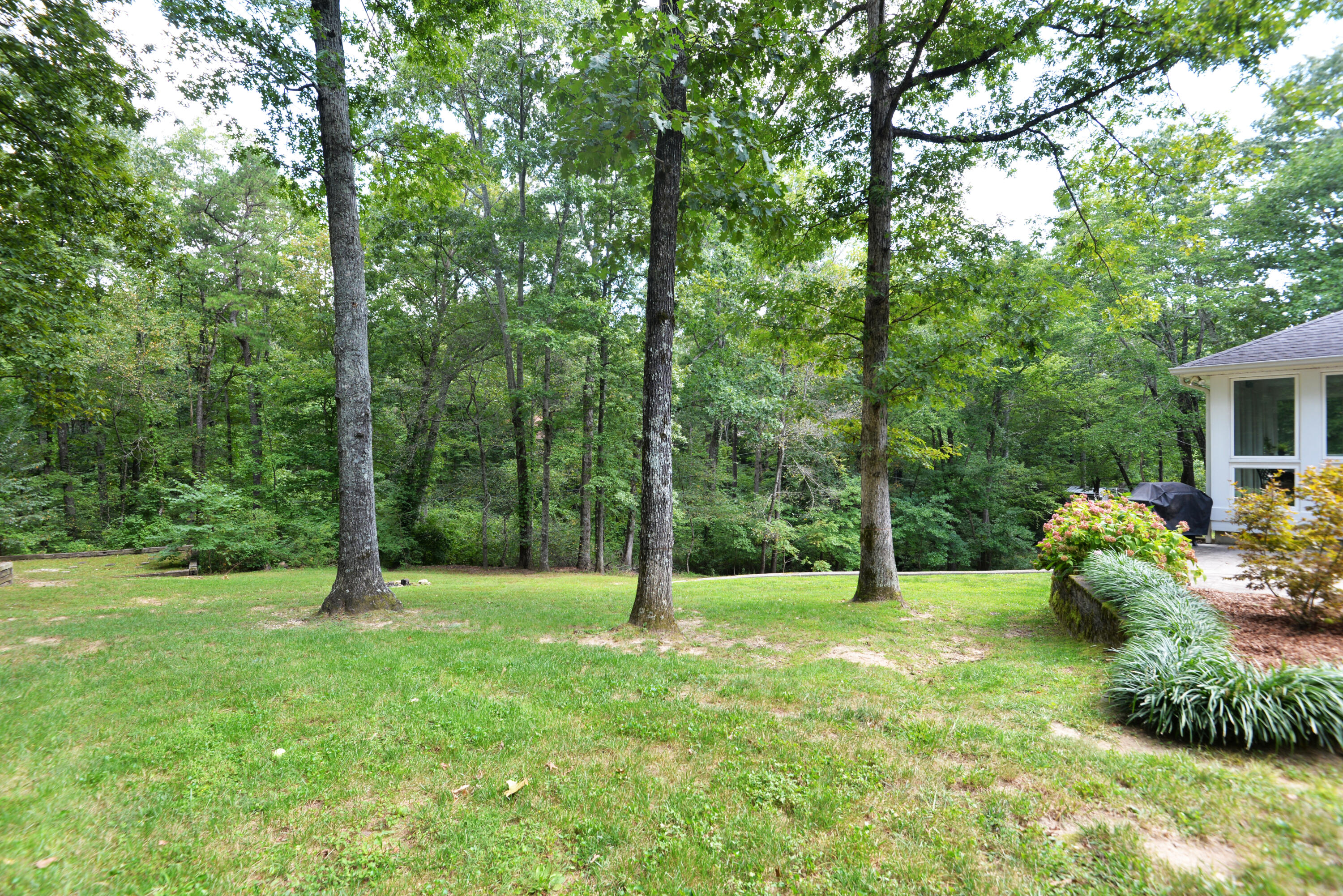 509 Barrington Road Signal Mountain, TN 37377 - Photo 40 of 41 Back yard
