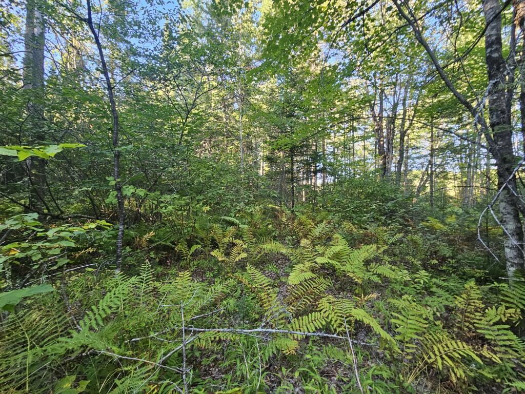 M11-l1 Wilder Davis Road Hudson, ME 04449 - Photo 39 of 53 20260907_170231