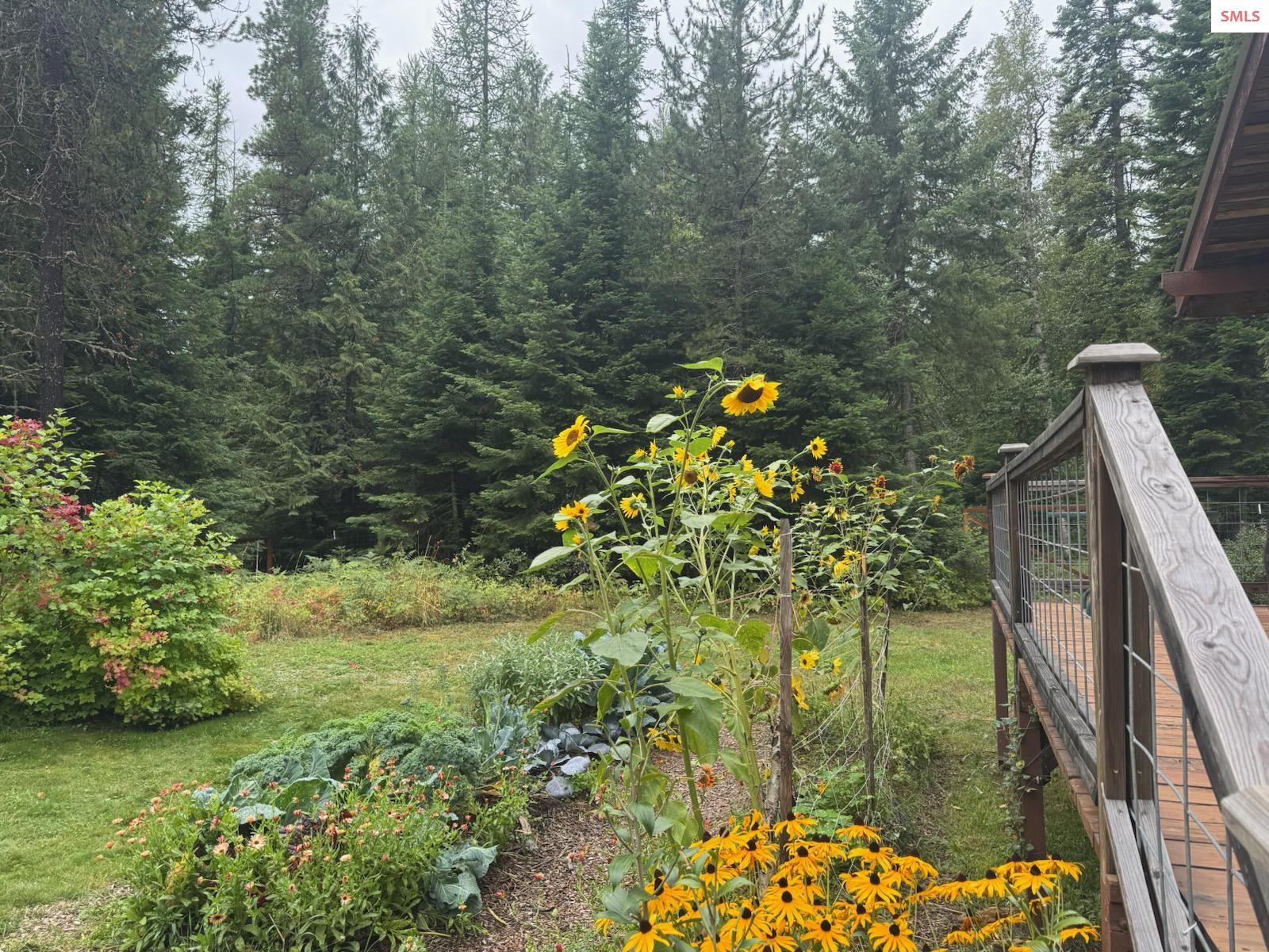 633 Old Mill Road Sandpoint, ID 83864 - Photo 56 of 65 Gallery Image 56