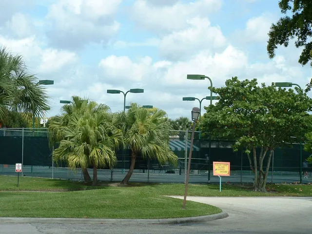 a view of a playground