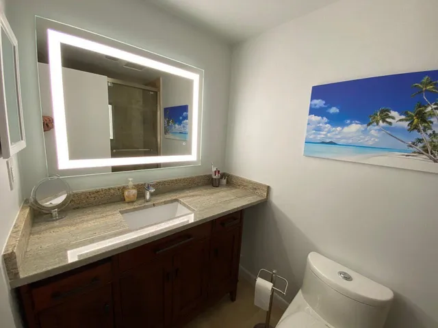 a bathroom with a sink mirror vanity and toilet