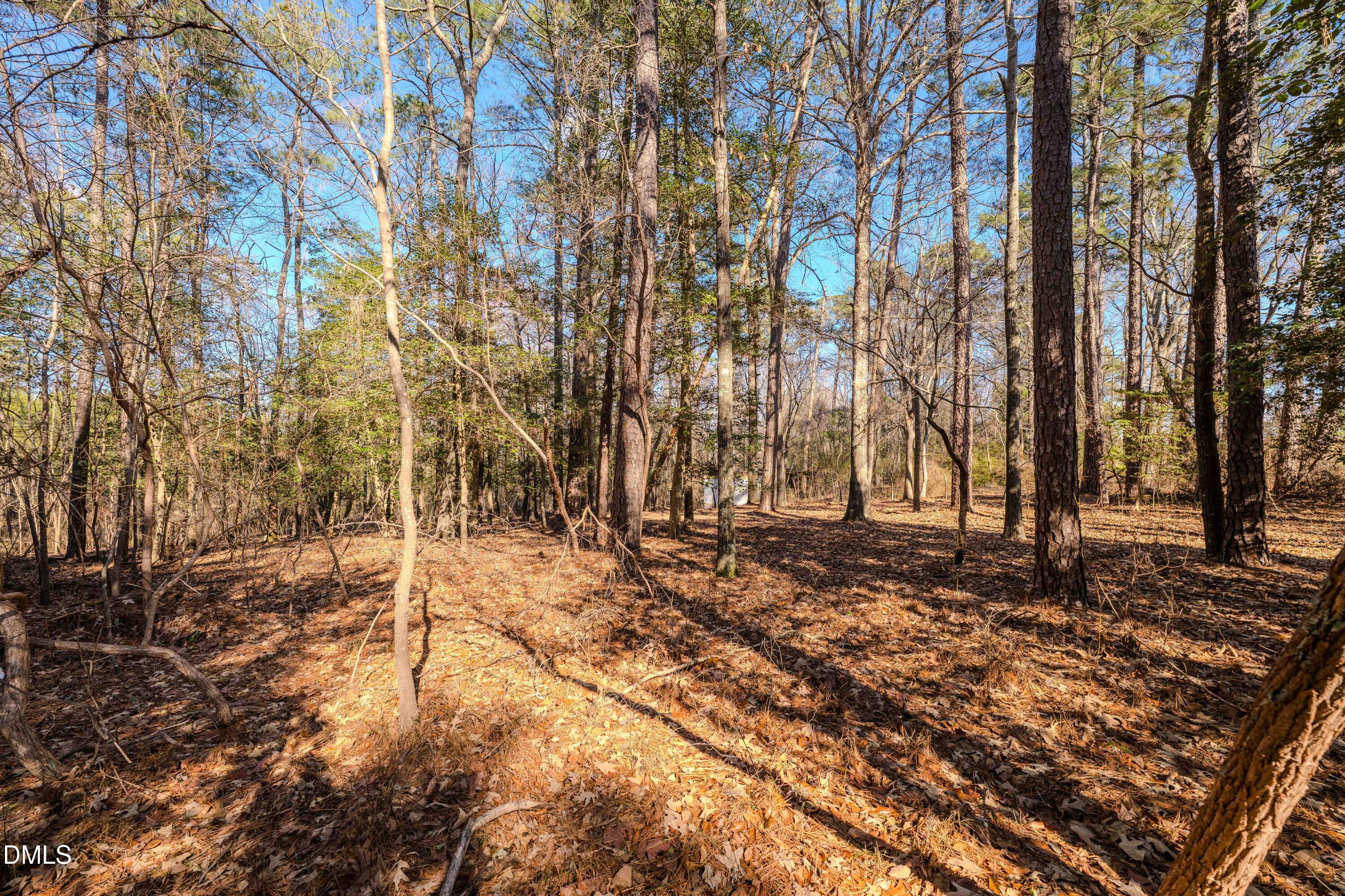 6724 Wimberly Road Willow Spring, NC 27592 - Photo 22 of 36 a backyard of a house with lots of green space