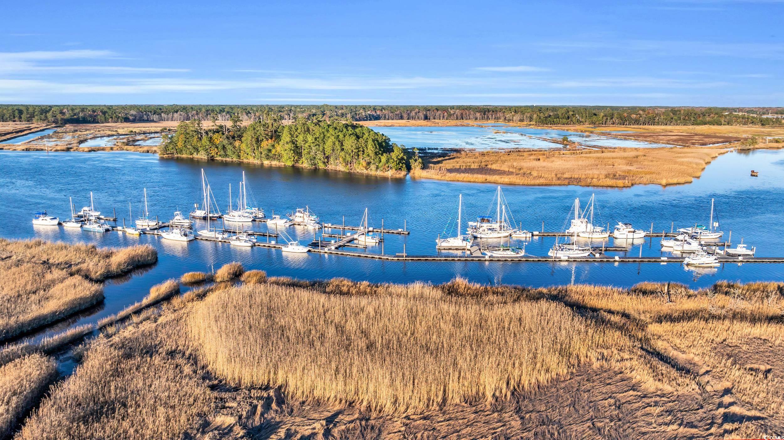 237 Madison Drive Georgetown, SC 29440 - Photo 2 of 14