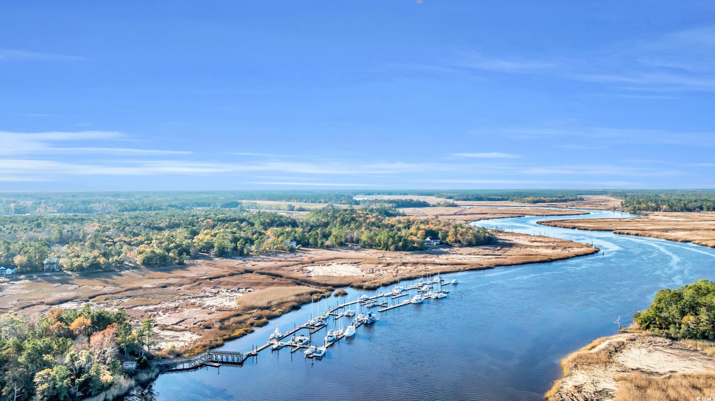 237 Madison Drive Georgetown, SC 29440 - Photo 8 of 14