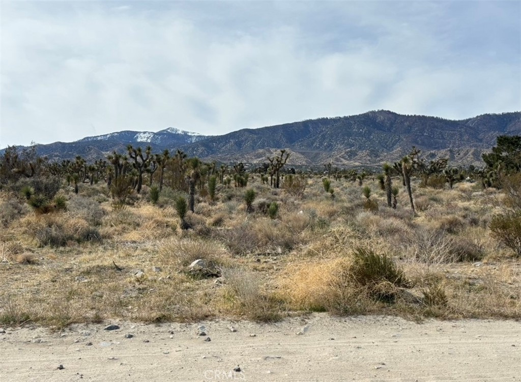 a view of a dry field with mountains in the background