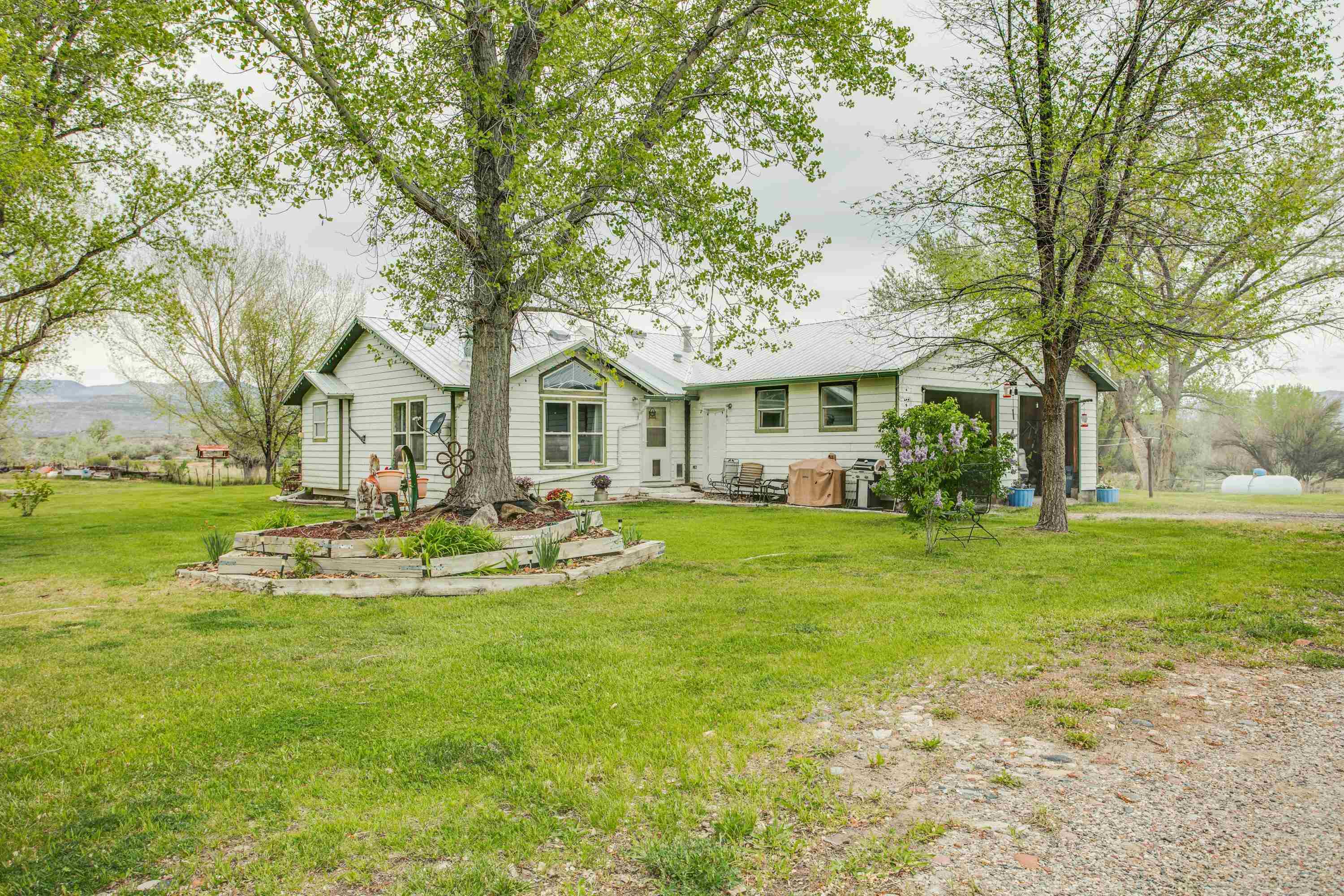 1951 I-70 B Frontage Road De Beque, CO 81630 - Photo 11 of 19 a view of a white house with a big yard and large trees